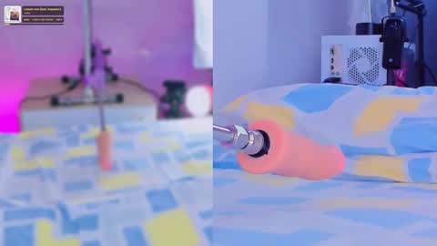   online show from February 2026 07:08:02 PM