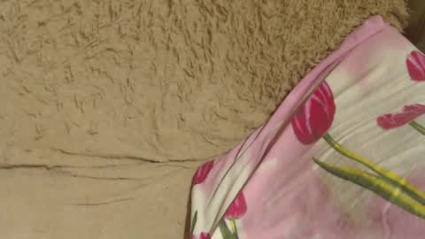 say meow and send tips  online show from December 2024 10:34:01 PM