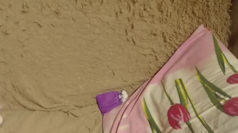 say meow and send tips  online show from December 2024 02:34:02 AM