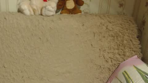 say meow and send tip  online show from December 2024 05:21:02 PM