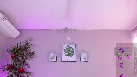 Isabella online show from December 2024 03:25:02 PM