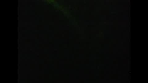 canivalsd online show from January 2025 09:33:02 AM