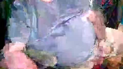 Snapshot of canoelicker69 chatting on May 2026 05:10:01 PM canoelicker69 online show from May 2026 05:10:01 PM