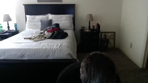 captmorgan30263 online show from February 2025 09:27:02 PM