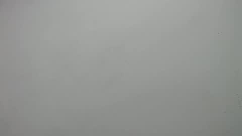 carla online show from February 2025 03:05:02 PM