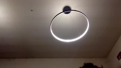 Snapshot of carlos037tm chatting on February 2025 09:04:01 PM Carlos online show from February 2025 09:04:01 PM