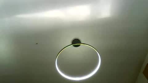 Carlos online show from March 2026 08:29:02 AM