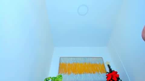 Andrea online show from January 2025 03:17:02 PM