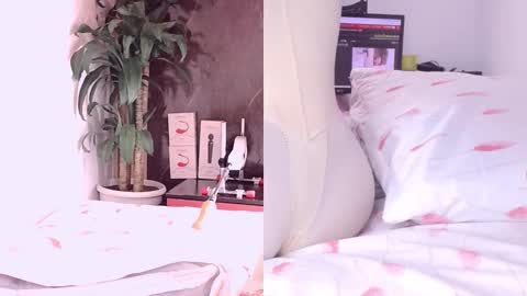 Snapshot of carol_swet chatting on March 2026 11:02:01 AM Carol online show from March 2026 11:02:01 AM