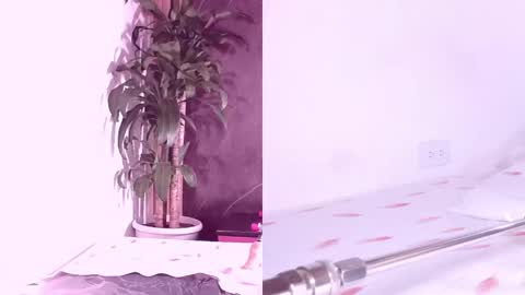 Snapshot of carol_swet chatting on April 2026 11:21:02 AM Carol online show from April 2026 11:21:02 AM