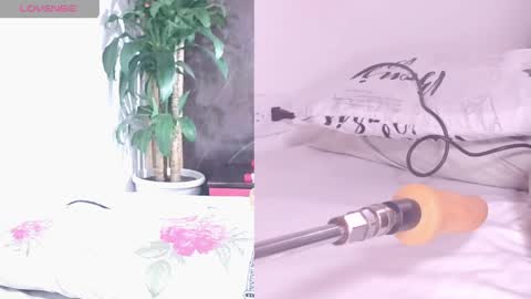 Snapshot of carol_swet chatting on April 2026 11:02:02 AM Carol online show from April 2026 11:02:02 AM