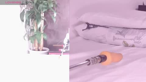 Snapshot of carol_swet chatting on April 2026 12:03:01 PM Carol online show from April 2026 12:03:01 PM