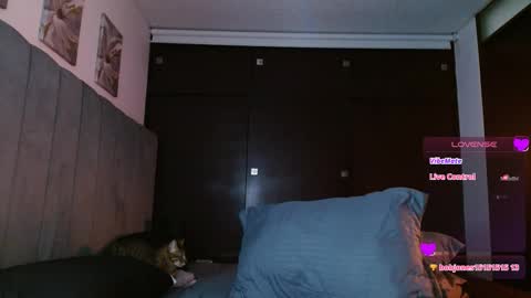 Carolinne online show from February 2025 05:58:01 PM