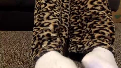 cash13bychanel online show from January 2025 03:02:01 AM