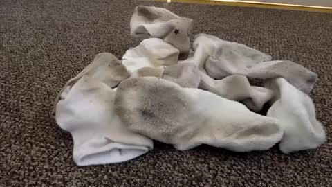 cash13bychanel online show from February 2025 06:38:01 PM