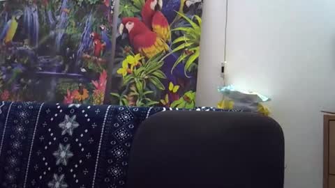 Cassandra online show from December 2025 01:42:01 PM