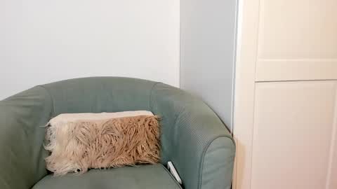 cassiecute - onlyfans account online show from October 2025 11:03:01 AM