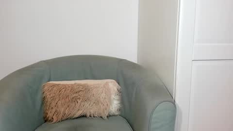 Snapshot of cassieandmarco chatting on March 2026 08:47:01 PM cassiecute - onlyfans account online show from March 2026 08:47:01 PM