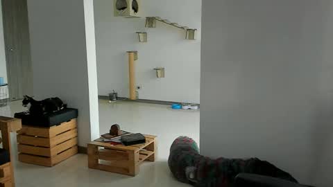 Snapshot of cassjimenez chatting on March 2026 11:57:01 AM Cassandra online show from March 2026 11:57:01 AM