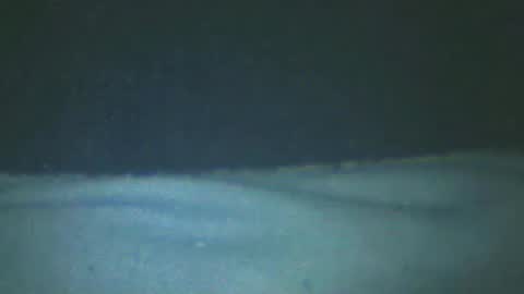 castells online show from February 2025 05:18:02 PM