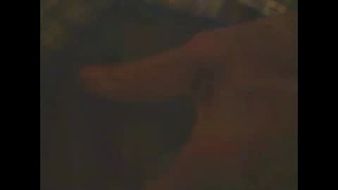 castells online show from February 2025 06:56:02 PM