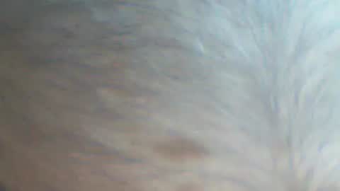 castells online show from September 2025 04:09:02 PM