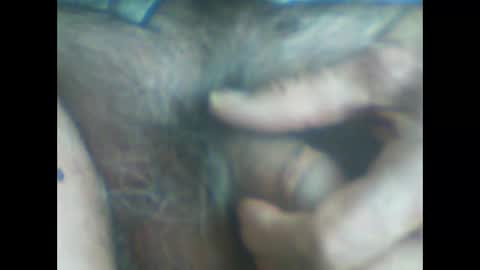 castells online show from April 2026 07:13:02 AM