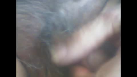 castells online show from April 2026 04:36:02 PM