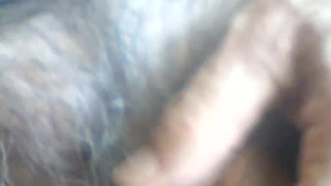 castells online show from July 2026 02:56:02 PM