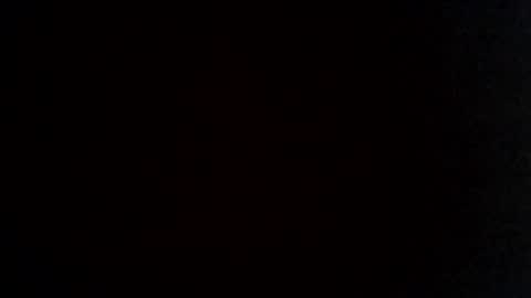 cat_2019 online show from December 2024 12:06:02 AM