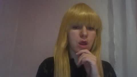 cat_2019 online show from December 2024 12:29:01 AM