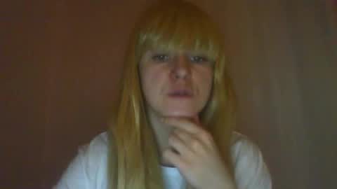 cat_2019 online show from March 2025 11:38:01 PM