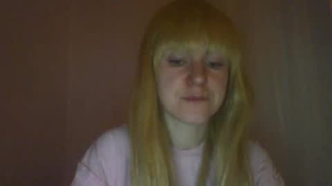 cat_2019 online show from March 2025 11:14:01 PM