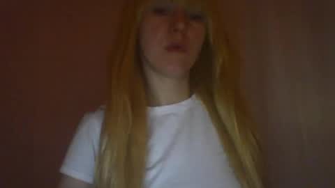 cat_2019 online show from March 2025 12:31:01 AM