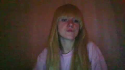 cat_2019 online show from October 2025 11:33:01 PM