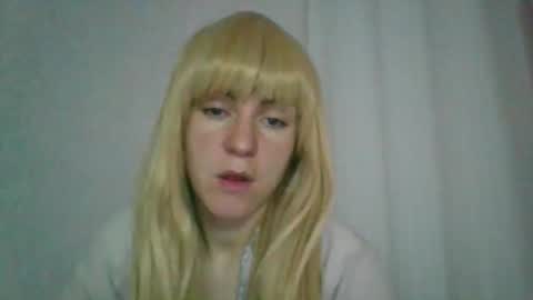 cat_2019 online show from November 2025 12:31:01 AM