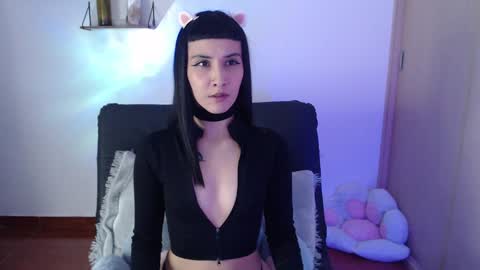 cat online show from January 2025 02:15:02 AM