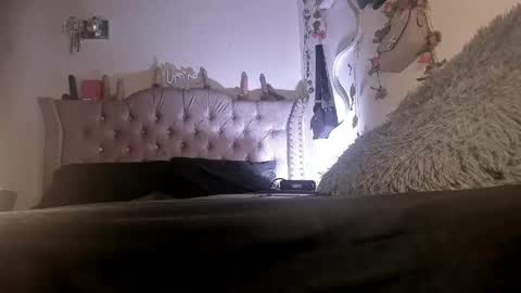 cata__mw online show from May 2026 08:17:01 PM