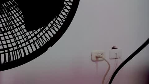 Snapshot of catalaia_stomm chatting on January 2025 01:24:01 PM catalaia_stomm online show from January 2025 01:24:01 PM