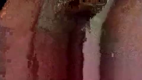 Snapshot of catdaddy179057 chatting on March 2026 10:54:02 AM catdaddy179057 online show from March 2026 10:54:02 AM