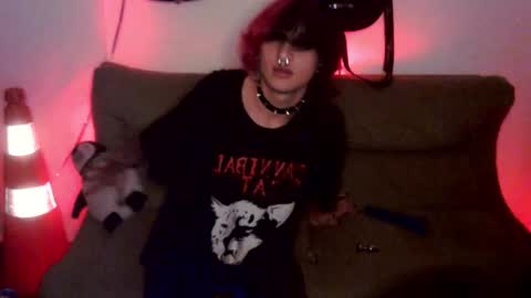 Cat online show from July 2026 09:25:01 PM