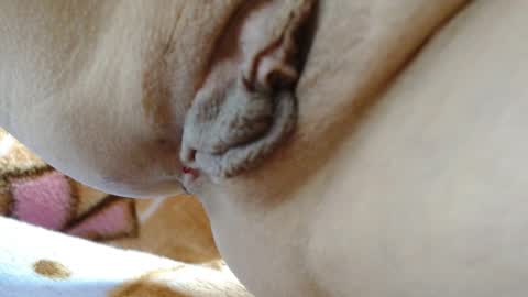 Snapshot of cbz112233 chatting on March 2026 03:40:01 PM ANNYANNY online show from March 2026 03:40:01 PM