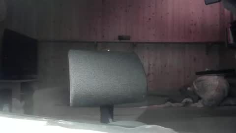 Snapshot of cd_99 chatting on January 2025 09:25:01 PM cd_99 online show from January 2025 09:25:01 PM