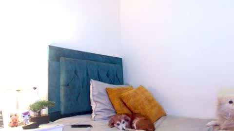 Snapshot of cedrixx10 chatting on March 2026 11:10:02 PM Cedrixx10 online show from March 2026 11:10:02 PM