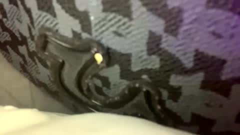 Snapshot of cezarthebreeder chatting on February 2026 09:24:02 PM cezarthebreeder online show from February 2026 09:24:02 PM