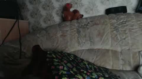 chacoa online show from January 2026 12:09:02 PM