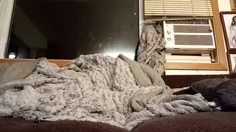 Chad420247 online show from February 2026 12:37:02 AM