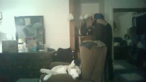 GigaChad online show from October 2025 05:42:02 AM