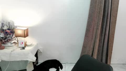 Snapshot of chakadal_xx chatting on November 2025 06:46:01 AM chakadal_xx online show from November 2025 06:46:01 AM