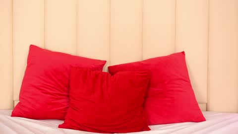 Snapshot of channelangeless chatting on February 2025 05:29:01 PM Channelangeless online show from February 2025 05:29:01 PM